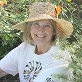 Gail Morris will let students know how they can participate in Monarch butterfly tagging.